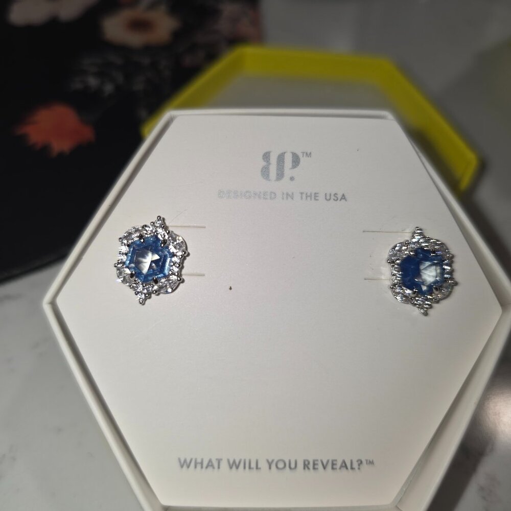 Incredible Sparkle Earrings BP RBP8212